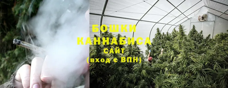 где купить   Шагонар  Бошки Шишки Bruce Banner 